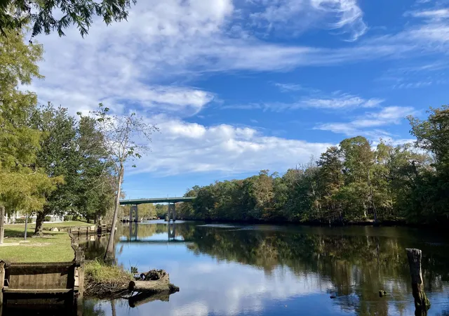 53rd image of 3039 Gadwall Dr, Aynor, SC 29511 | MLS# 2606374