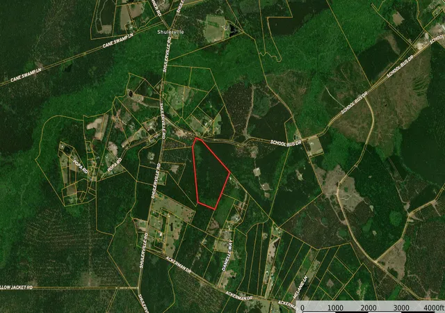 1st image of 0 School Bus Rd, Jamestown, SC 29453 | MLS# 2606431