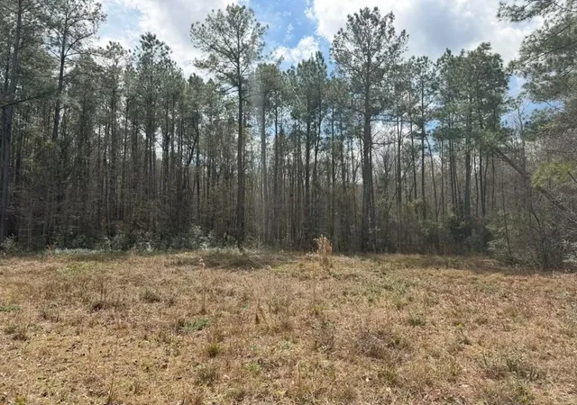 4th image of 0 School Bus Rd, Jamestown, SC 29453 | MLS# 2606431
