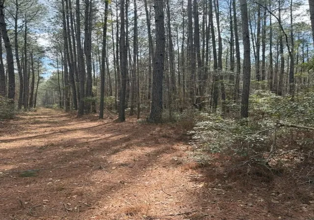 5th image of 0 School Bus Rd, Jamestown, SC 29453 | MLS# 2606431