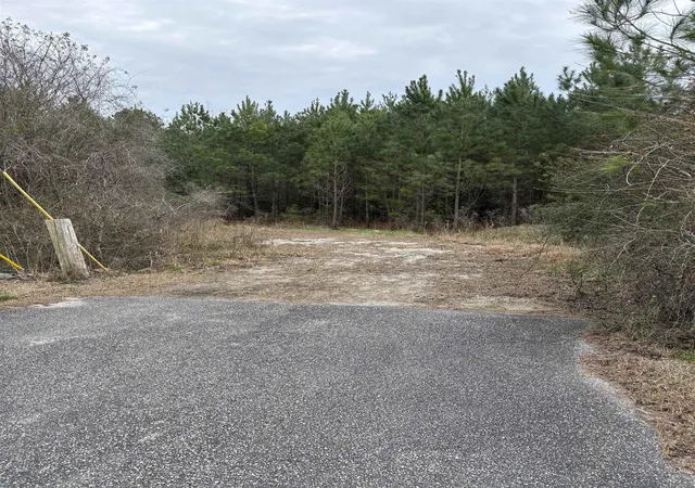 Photo 3 of Land for sale at Tbd Turkey Pen Rd, Longs, SC 29568 | MLS# 2606625 | Listing updated on 2026-03-13