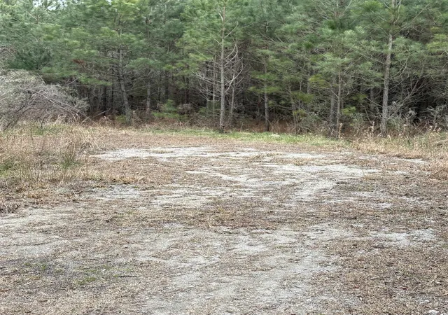 Photo 3 of Land for sale at Tbd Turkey Pen Rd, Longs, SC 29568 | MLS# 2606625 | Listing updated on 2026-03-13