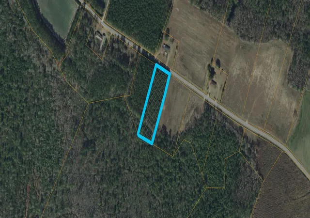 Photo 1 of Land for sale at 211 Acres Boggy Branch Rd, Nichols, SC 29581 | MLS# 2607015 | Listing updated on 2026-08-24