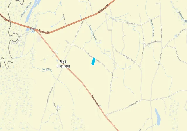 Photo 3 of Land for sale at 211 Acres Boggy Branch Rd, Nichols, SC 29581 | MLS# 2607015 | Listing updated on 2026-08-24