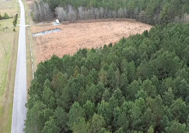Photo 4 of Land for sale at 211 Acres Boggy Branch Rd, Nichols, SC 29581 | MLS# 2607015 | Listing updated on 2026-08-24