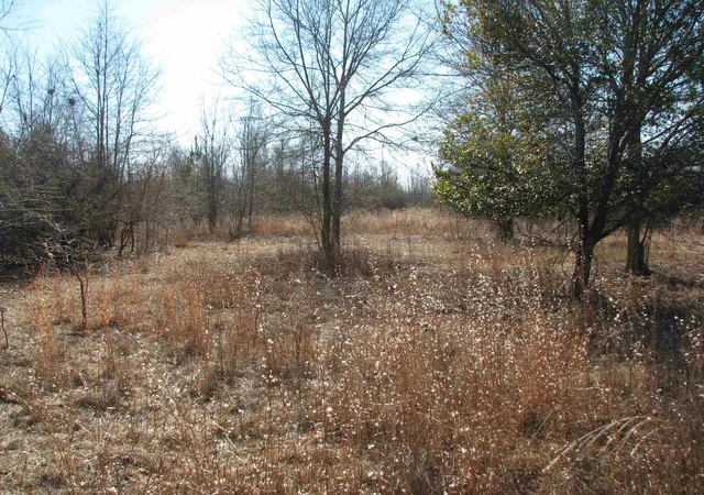 Photo 52 of Land for sale at 0 Cannery Rd, Dalzell, SC 29040 | MLS# 2607220 | Listing updated on 2026-03-19