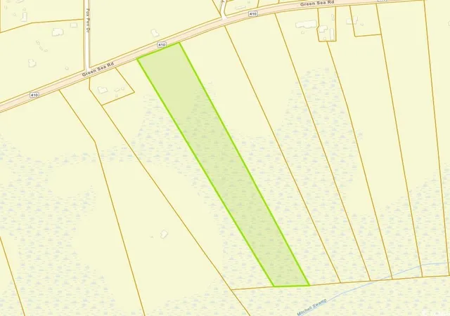 Homes for sale in Green Sea, SC | Tbd Green Sea Rd, Green Sea, SC 29545 | MLS# 2607231