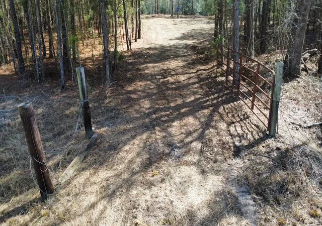 Homes for sale in Green Sea, SC | Tbd Green Sea Rd, Green Sea, SC 29545 | MLS# 2607231