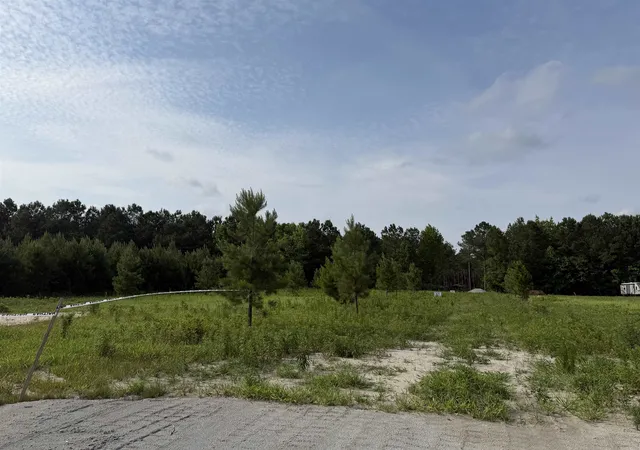 46th image of Apple Valley Rd, Loris, SC 29569 | MLS# 2607426