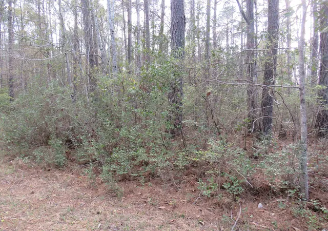 Photo 1 of Land for sale at Tbd Finnell Rd, Little River, SC 29566 | MLS# 2607601 | Listing updated on 2026-06-30