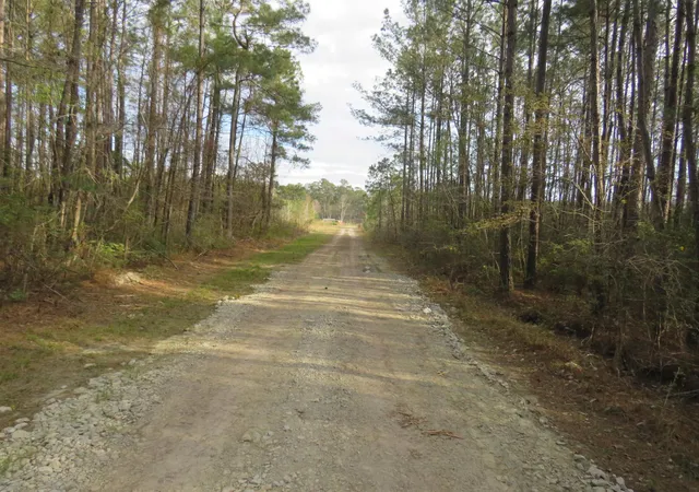 Photo 2 of Land for sale at Tbd Finnell Rd, Little River, SC 29566 | MLS# 2607601 | Listing updated on 2026-06-30