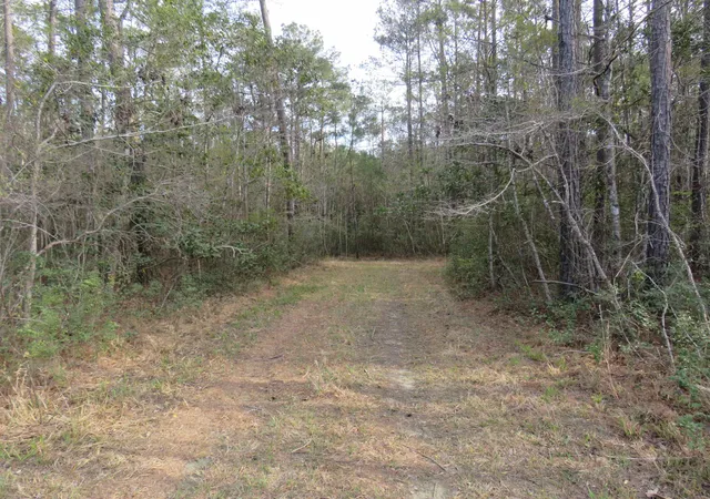 Photo 3 of Land for sale at Tbd Finnell Rd, Little River, SC 29566 | MLS# 2607601 | Listing updated on 2026-06-30
