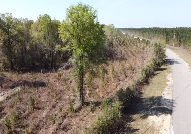 3rd image of Lot 1 Amos Rd, Georgetown, SC 29440 | MLS# 2607736