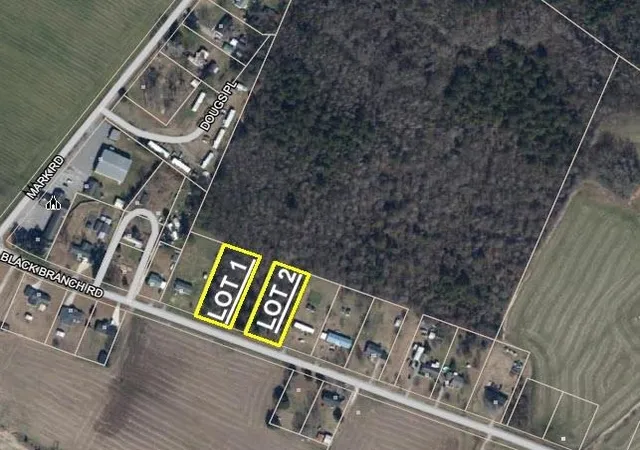 Homes for sale in Dillon, SC | Lot 2 Black Branch Rd, Dillon, SC 29536 | MLS# 2607740