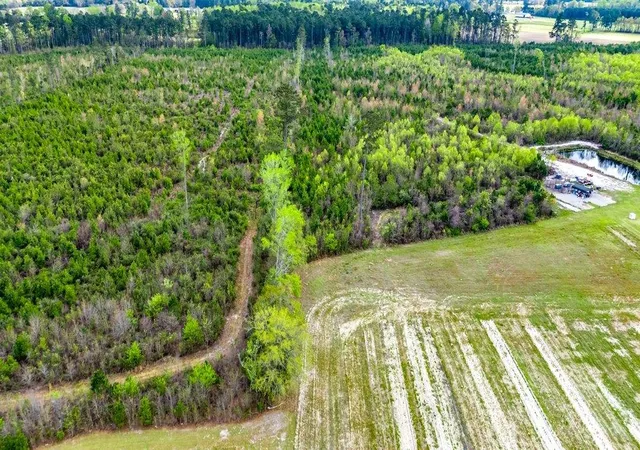 Photo 3 of Land for sale at Tbd Jordan Rd, Galivants Ferry, SC 29544 | MLS# 2607806 | Listing updated on 2026-07-22
