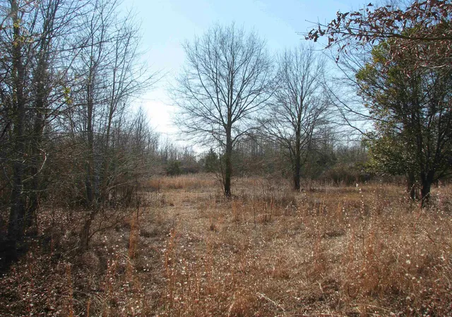 Photo 55 of Land for sale at 0 Cannery Rd, Dalzell, SC 29040 | MLS# 2607865 | Listing updated on 2026-03-26