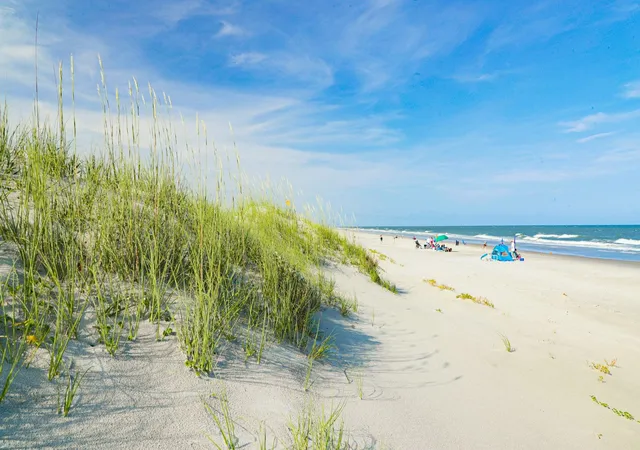 4th image of 83 Blackgum Rd, Pawleys Island, SC 29585 | MLS# 2607870