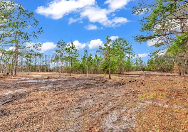 Photo 3 of Land for sale at 3930 Red Blf Rd, Loris, SC 29569 | MLS# 2607981 | Listing updated on 2026-03-27