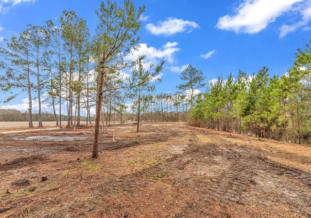 Photo 3 of Land for sale at 3930 Red Blf Rd, Loris, SC 29569 | MLS# 2607981 | Listing updated on 2026-03-27