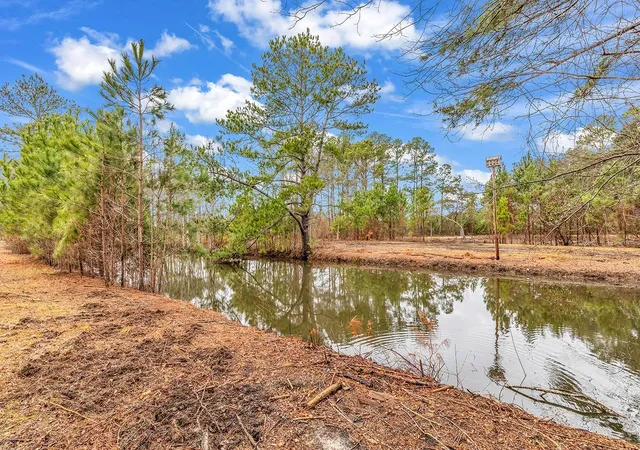 Photo 4 of Land for sale at 3930 Red Blf Rd, Loris, SC 29569 | MLS# 2607981 | Listing updated on 2026-03-27