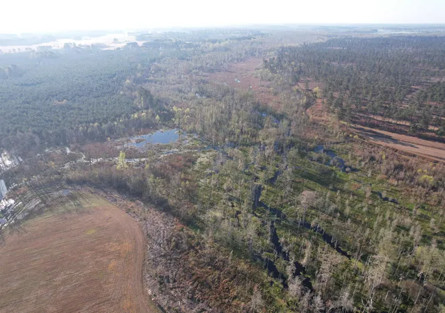 5th image of 711 Cade Rd, Lake City, SC 29560 | MLS# 2608043