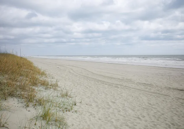2nd image of 305 Hillside Dr N, North Myrtle Beach, SC 29582