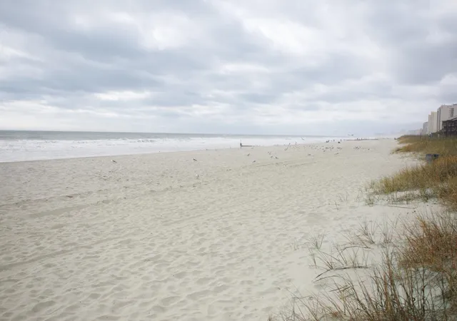 36th image of 305 Hillside Dr N #204, North Myrtle Beach, SC 29582 | MLS# 2608533