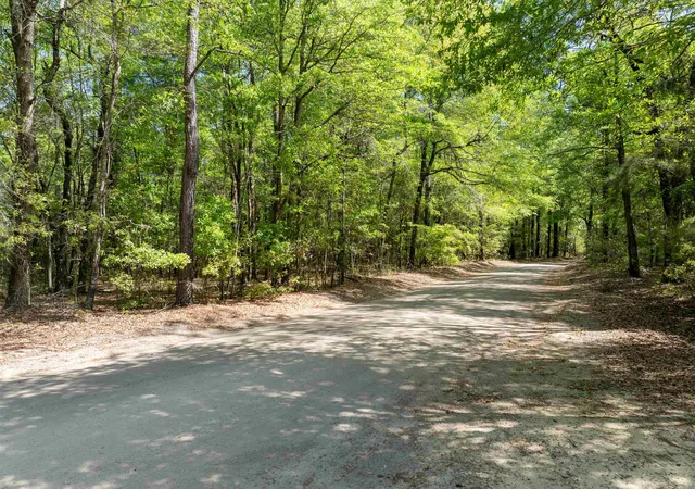 Homes for sale in Marion, SC | 0 Forest Pl, Marion, SC 29571 | MLS# 2608707