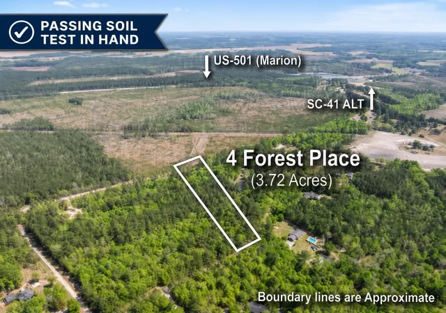 Homes for sale in Marion, SC | 0 Forest Pl, Marion, SC 29571 | MLS# 2608707