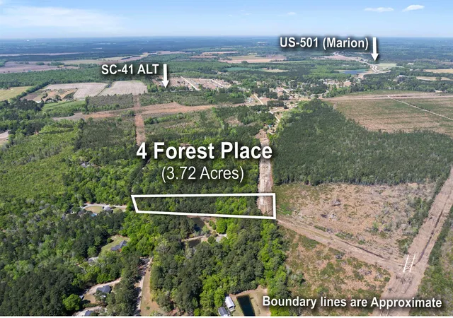 Homes for sale in Marion, SC | 0 Forest Pl, Marion, SC 29571 | MLS# 2608707