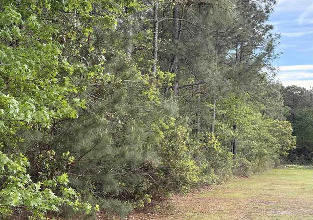 Photo 2 of Land for sale at Tbd Gussie Ct, Myrtle Beach, SC 29588 | MLS# 2608710 | Listing updated on 2026-07-04