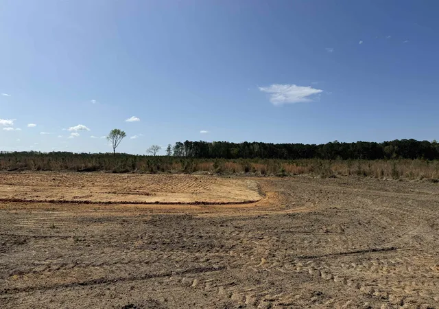 Homes for sale in Cades, SC | 1507 Patty Rd, Cades, SC 29518 | MLS# 2608741