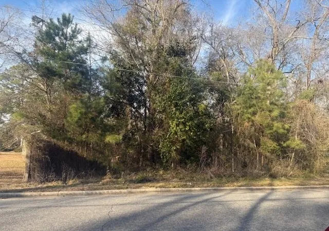 1st image of Near 217/tbd E Clay St, Whiteville, NC 28472 | MLS# 2608742