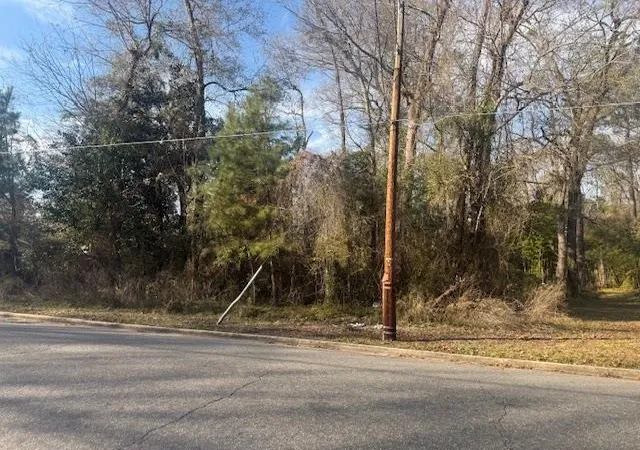 2nd image of Near 217/tbd E Clay St, Whiteville, NC 28472 | MLS# 2608742