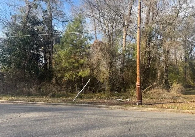 3rd image of Near 217/tbd E Clay St, Whiteville, NC 28472 | MLS# 2608742