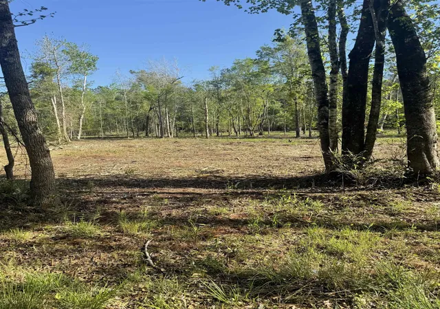 Homes for sale in Conway, SC | Tbd Pauley Swamp Rd, Conway, SC 29527 | MLS# 2608794