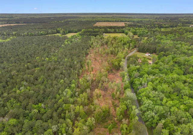Homes for sale in Conway, SC | Tbd Pauley Swamp Rd, Conway, SC 29527 | MLS# 2608794