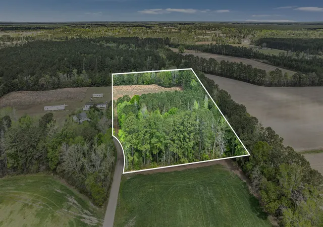 21st image of 65 Acres Christine Pl, Hemingway, SC 29554 | MLS# 2608819