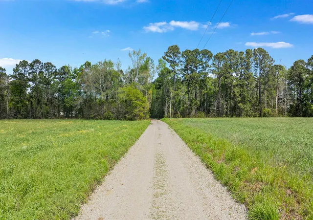 2nd image of 65 Acres Christine Pl, Hemingway, SC 29554 | MLS# 2608819