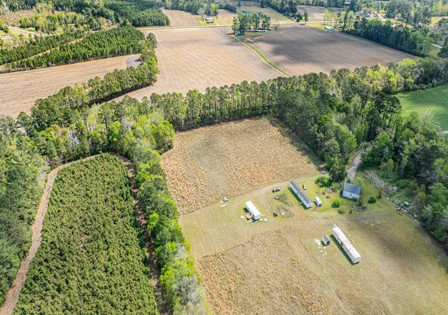 3rd image of 65 Acres Christine Pl, Hemingway, SC 29554 | MLS# 2608819
