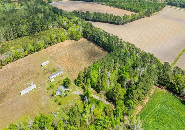 4th image of 65 Acres Christine Pl, Hemingway, SC 29554 | MLS# 2608819