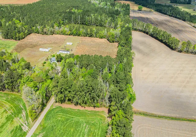 5th image of 65 Acres Christine Pl, Hemingway, SC 29554 | MLS# 2608819
