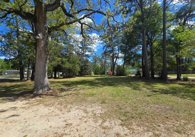 Homes for sale in Andrews, SC | 98 Old Cemetary Rd, Andrews, SC 29510 | MLS# 2608833