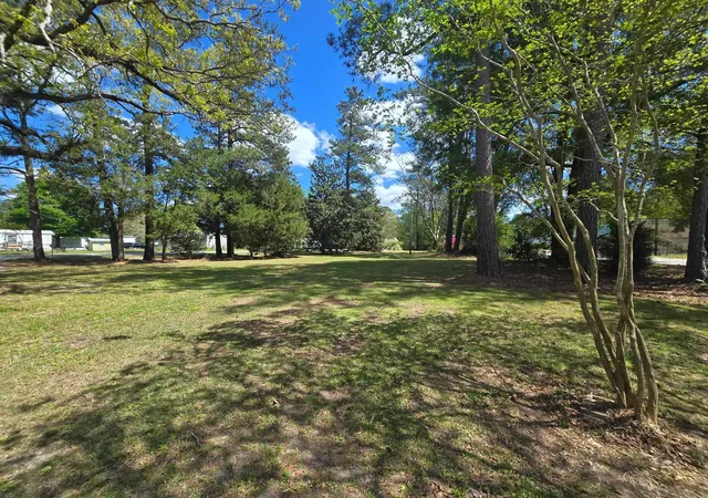 Homes for sale in Andrews, SC | 98 Old Cemetary Rd, Andrews, SC 29510 | MLS# 2608833