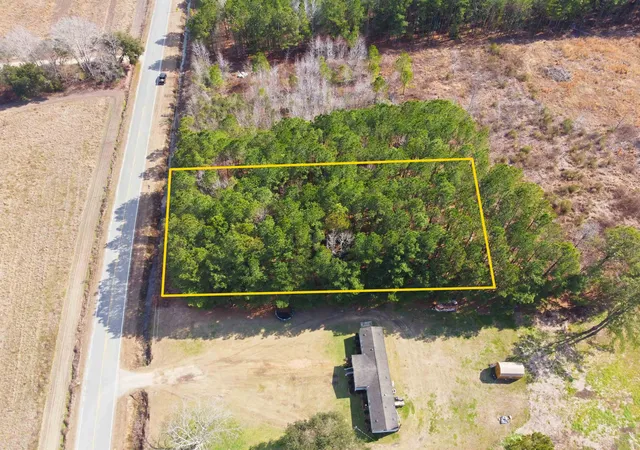 Homes for sale in Greeleyville, SC | Gibson Rd, Greeleyville, SC 29056 | MLS# 2609070