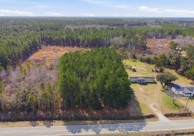 Homes for sale in Greeleyville, SC | Gibson Rd, Greeleyville, SC 29056 | MLS# 2609070
