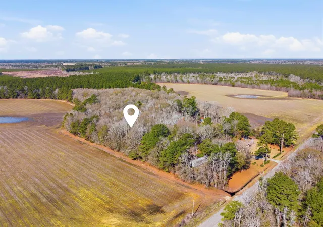 Homes for sale in Cades, SC | Not Specified, Cades, SC 29518 | MLS# 2609074