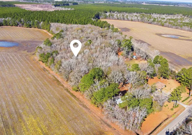 Homes for sale in Cades, SC | Not Specified, Cades, SC 29518 | MLS# 2609074