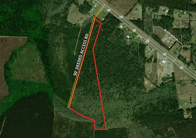 Homes for sale in Andrews, SC | Tbd Georgetown Hwy, Andrews, SC 29510 | MLS# 2609259