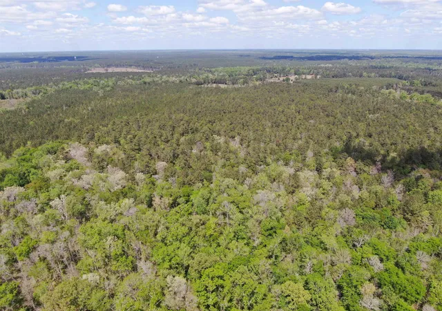 Homes for sale in Andrews, SC | Tbd Georgetown Hwy, Andrews, SC 29510 | MLS# 2609259